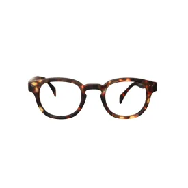IZIPIZI Reading Shape #C  1.5 Tortoise