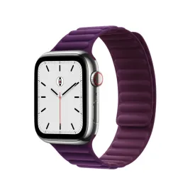Plum Magnetic Link Band
