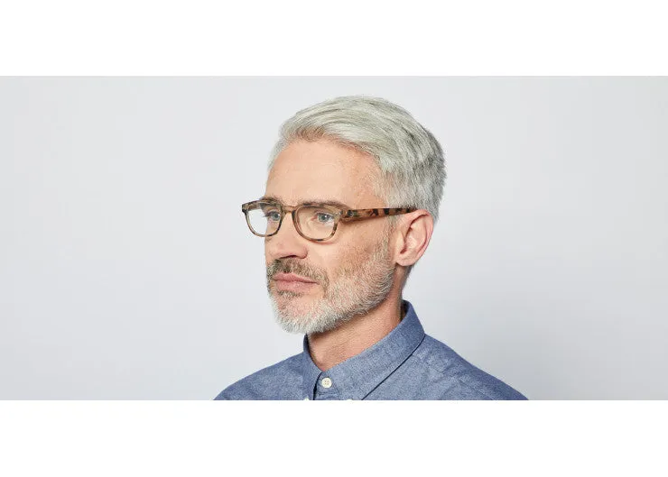 READING GLASSES #B LIGHT TORTOISE