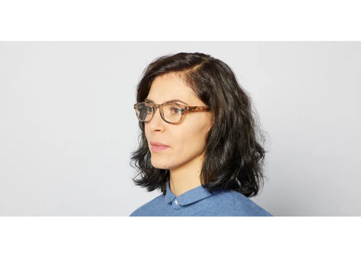 READING GLASSES #B LIGHT TORTOISE