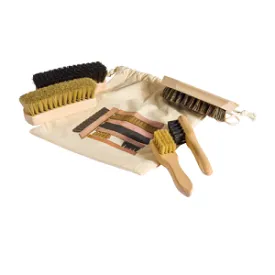 Shoe shine kit